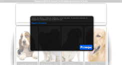 Desktop Screenshot of gruppocinofilojonico.it